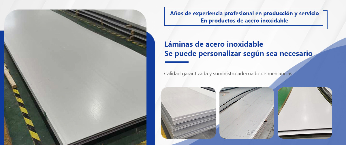 309/309S/310/310S Láminas de acero inoxidable
