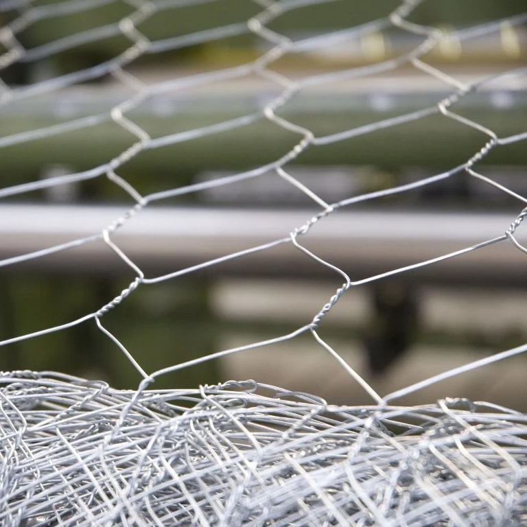 Hexagonal Wire Mesh