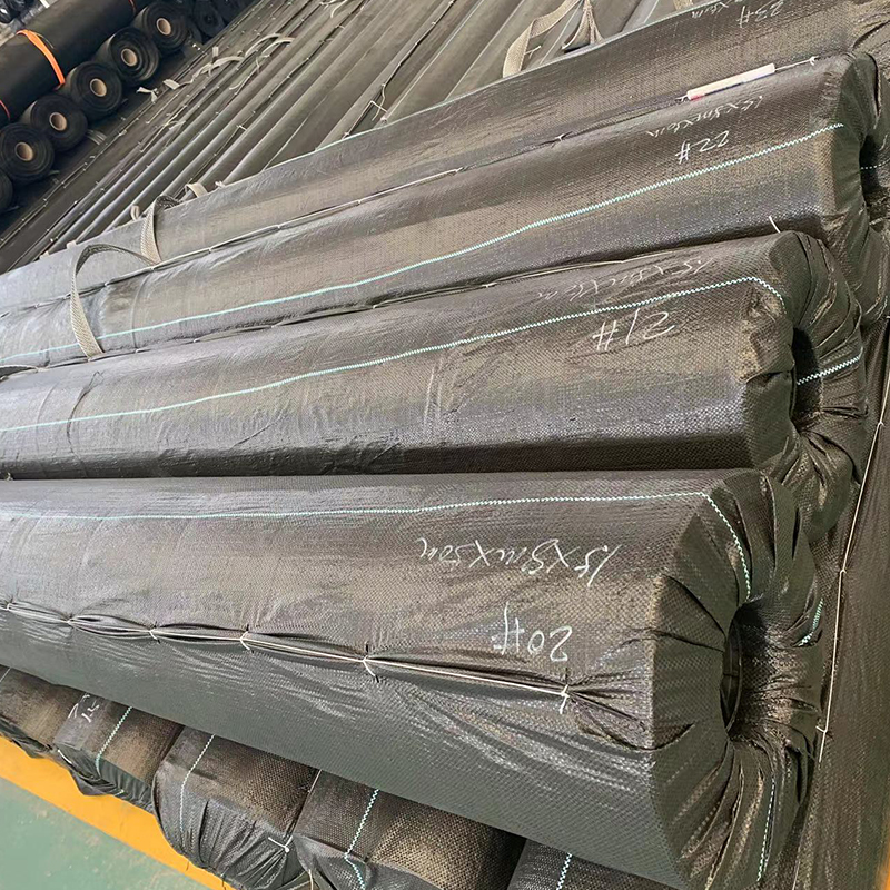 HDPE Rough Geomembrane