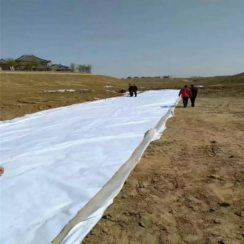 Composite Geomembrane with Geotextile (1+1)