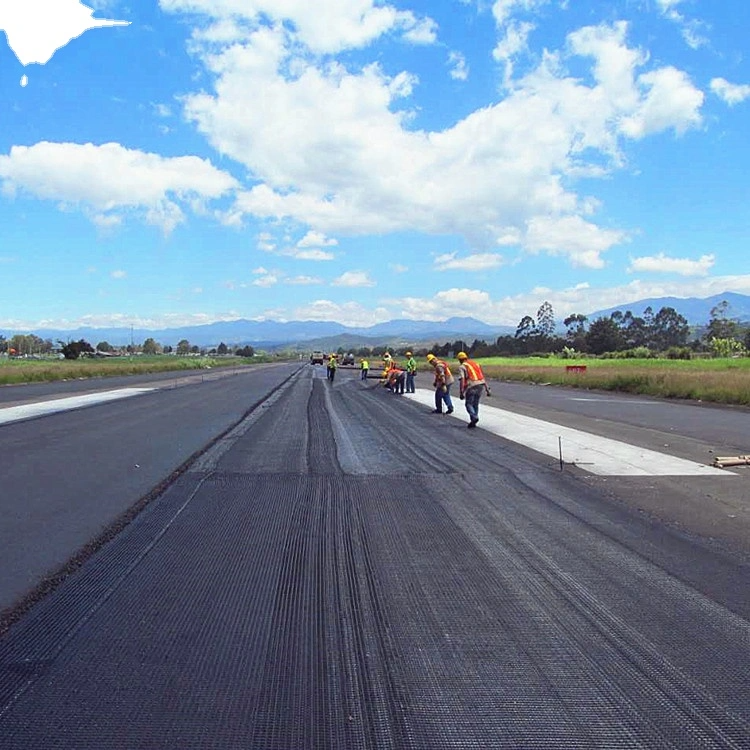 Warp Knitted Polyester Filament Geogrid