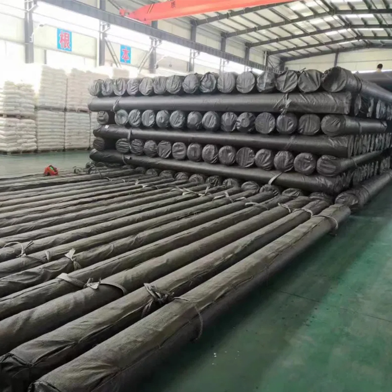 Bidirectional Steel-plastic Geogrid