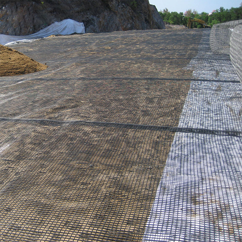 Bidirectional Steel-plastic Geogrid