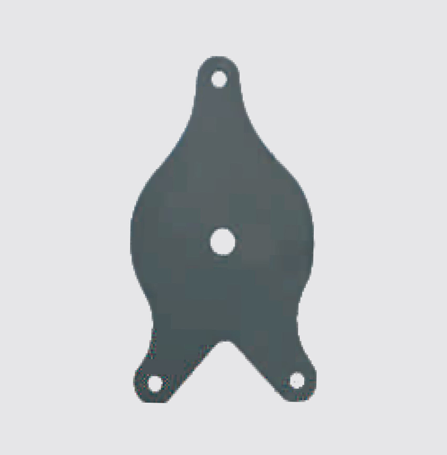 SiC fish shape plate