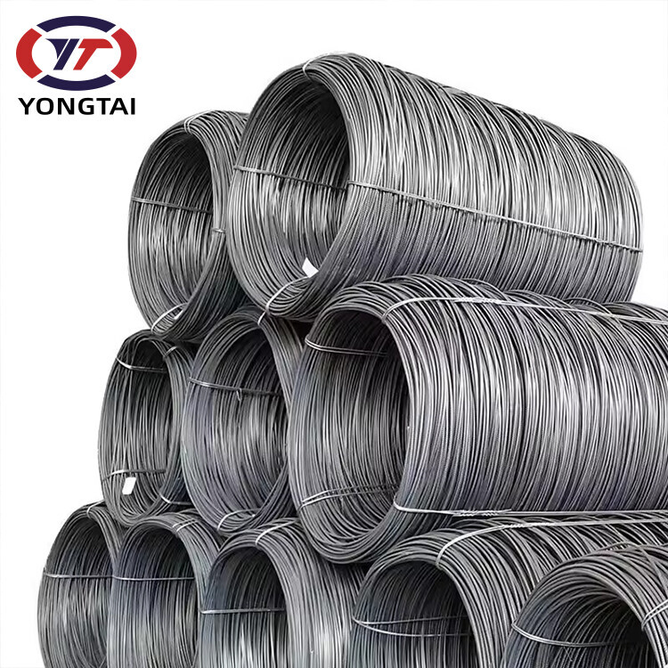 High quality Carbon Steel Wire Black Wire Line Standard Stainless Steel Annealed carbon steel wire