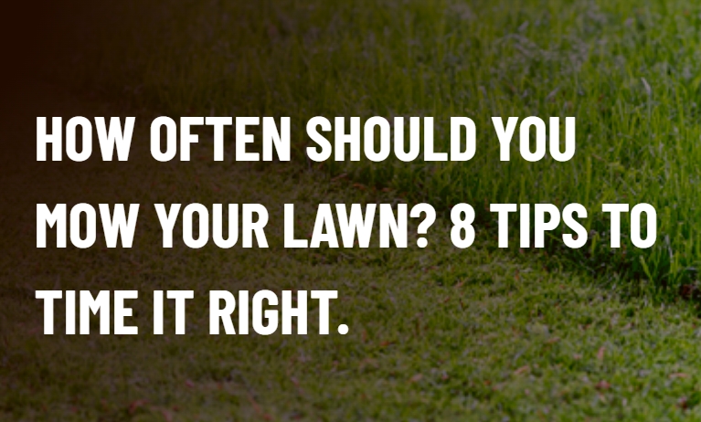 How Often Should You Mow Your Lawn? 8 Tips to Time It Right