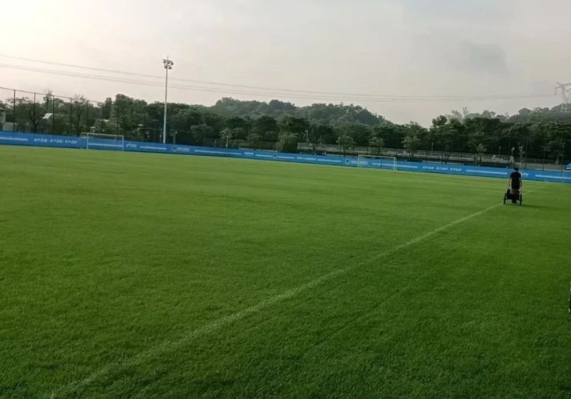 Denaiyou | Key Maintenance Priorities for Natural Grass Football Pitches During the Rainy Season