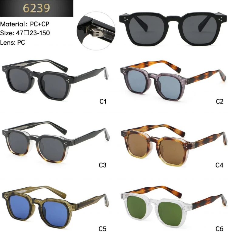 6234 PC RM62 Retro Sunglasses