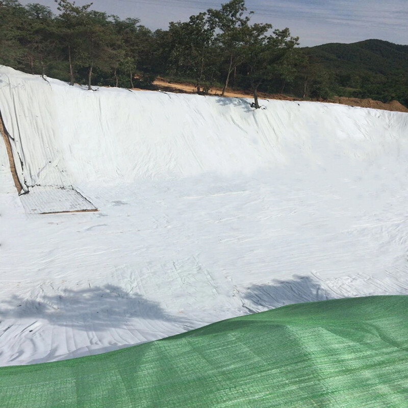 Composite Geomembrane with Geotextile (1+2)