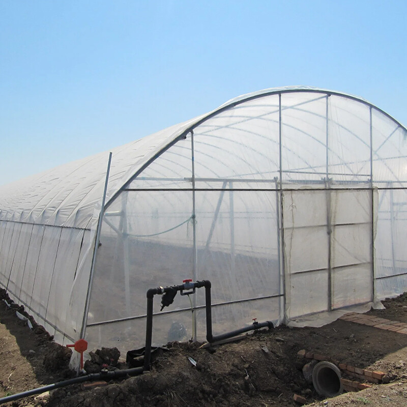 Polypropylene Plastic Film