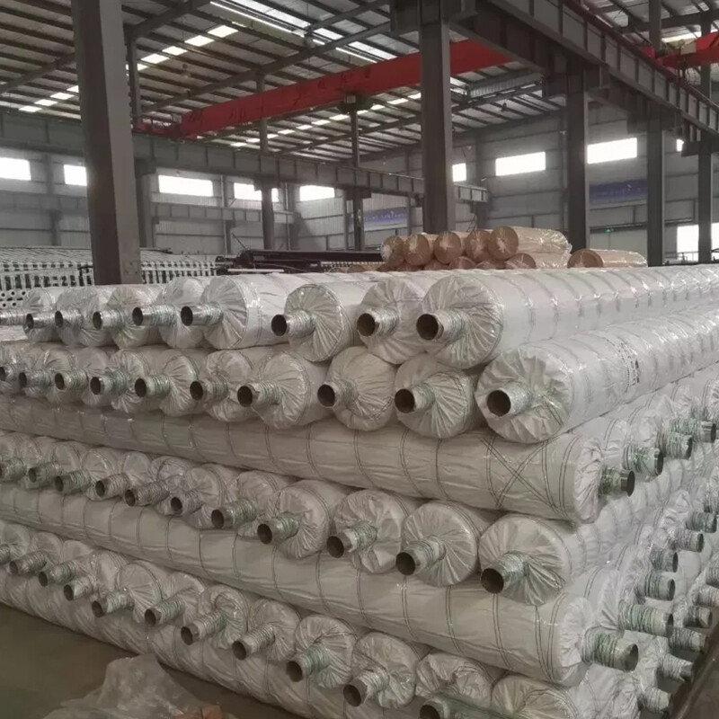 Polypropylene Plastic Film