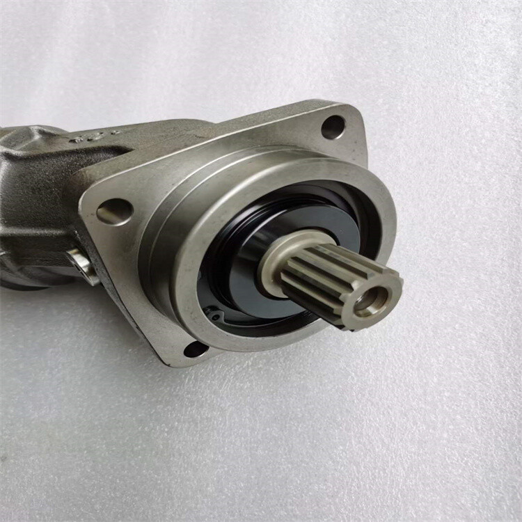 A2FM Series Hydraulic Piston Motor A2FM32 A2FM45 A2FM56 A2FM63 A2FM80 A2FM90 A2FM107 A2FM125 A2FM160 Hydraulic motor