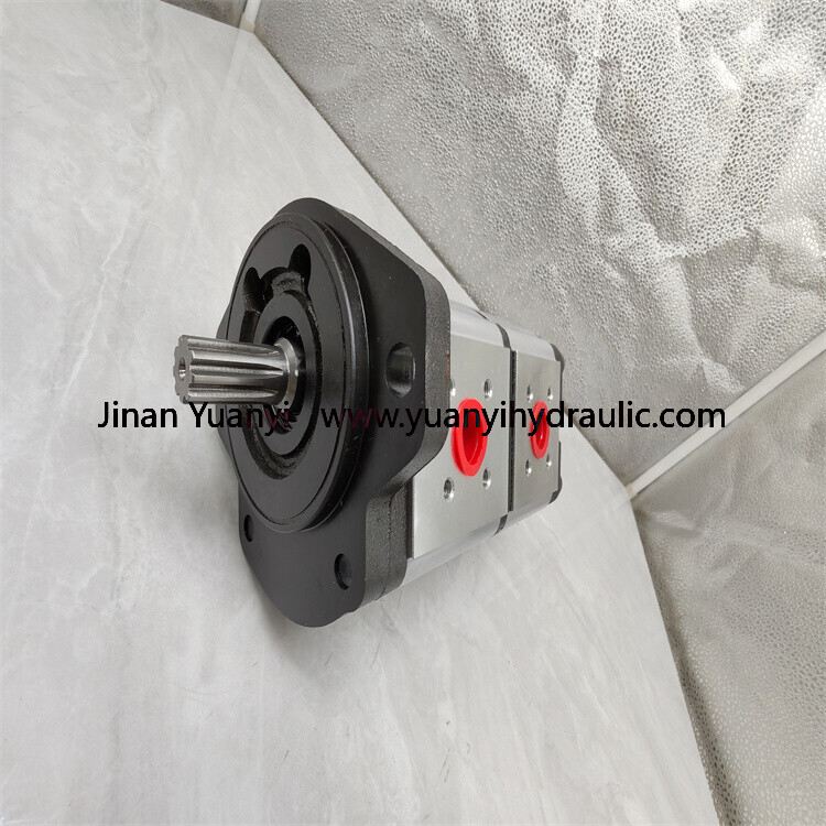 Rexroth AZPF AZPFF AZPF-12-022RCB20KB AZPF-11-008RRR20MB Hydraulic Pump,AZPF-12 Gear Pump