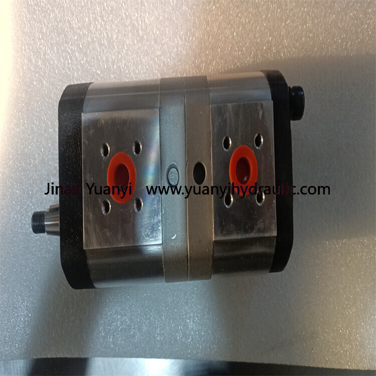 11cc+2cc Double Hydraulic Gear Pump For Sales