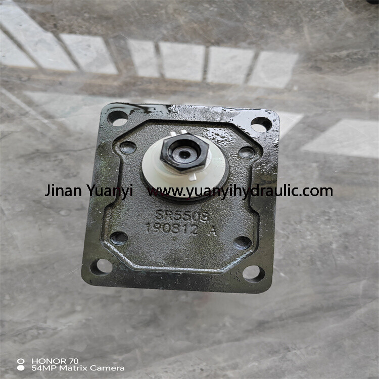 GHP1 Single Gear Hydraulic Pump,GHP1-D(S)-6 GHP1-D(S)-9 High Pressure Gear Pump