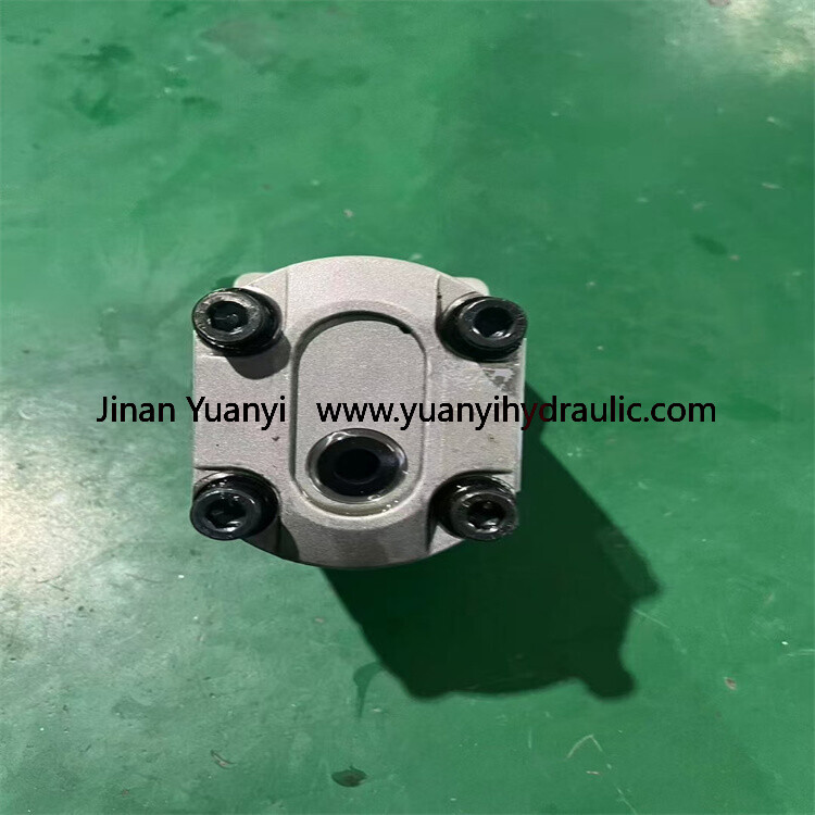 Marzocchi GHP1 GHP2 GHP3 ALP2 GHP2A-D-25-C2-FG ALP2-D-30 Aluminum Gear Hydraulic Pump