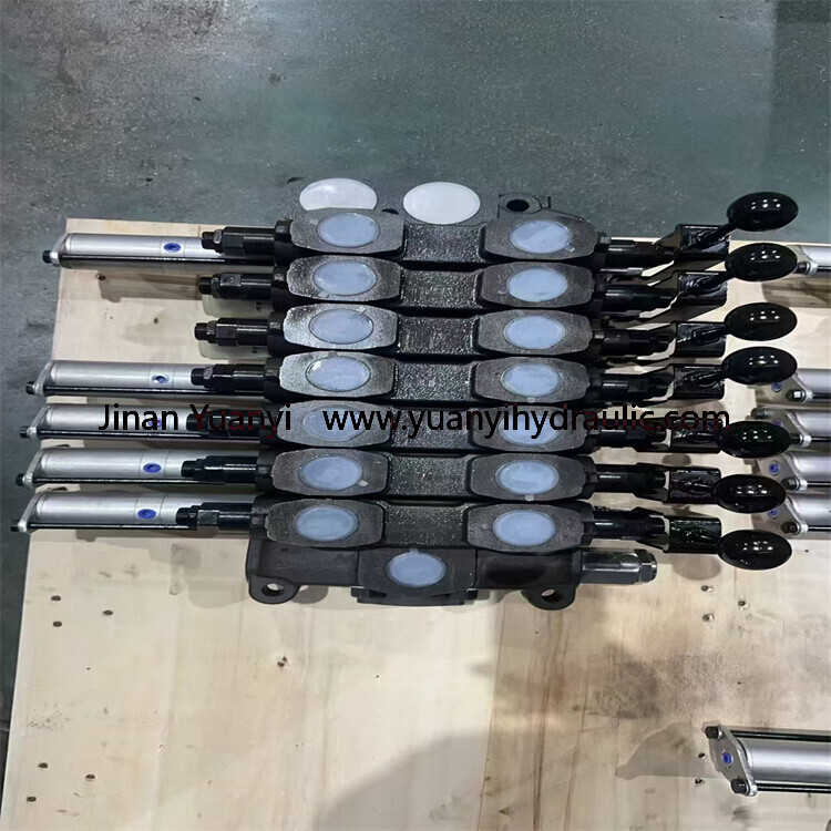 P120 Series Manual Operated Directional Hydraulic Valve 2P120 3P120 4P120 P80 p120 P240 Monoblock Hydraulic Directional Control Valve