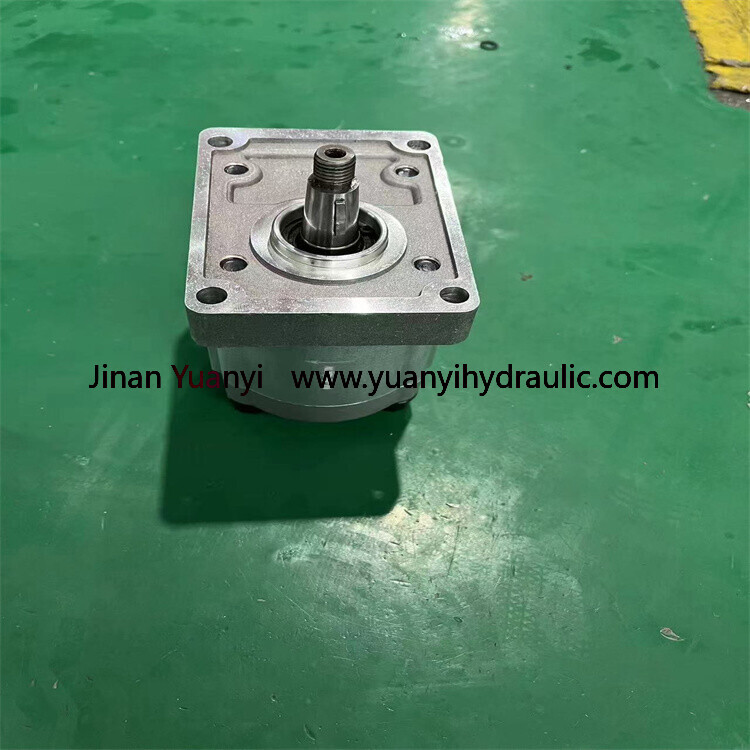 Marzocchi ALP3 Oil Gear Pump,ALP3-D(S)-40 ALP3-D(S)-50 Hydraulic Pump