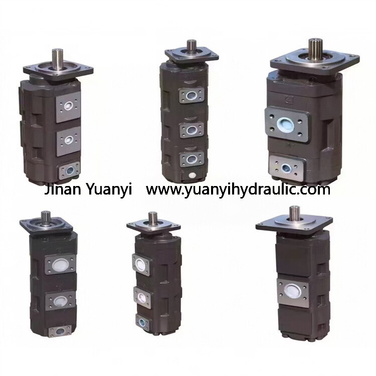 CBGJ2080/1010c-XF Wheel Loader Gear Pump 4120000171 2030900028 3030900140 Double Hydraulic Pump