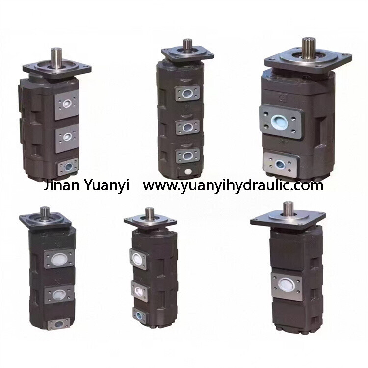CBGJ2100/2100 CBGJ2080/2080 Jinan Hydraulic Pump Quancheng Double Gear Pump