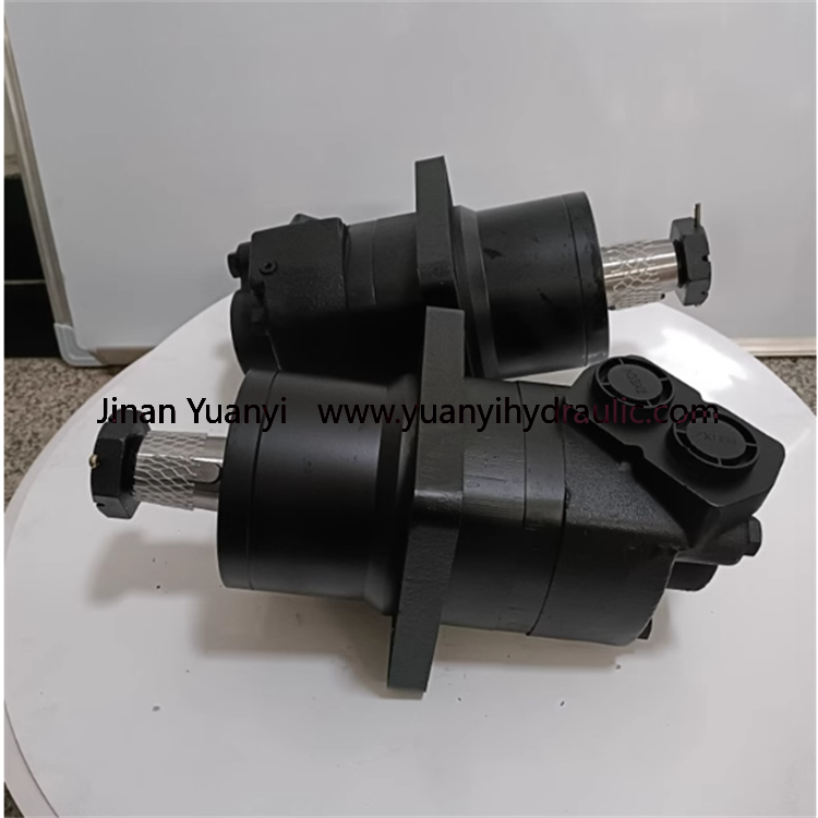BM6-800 BM6-310 BM6-985 BM6-490 BM6-305 Orbital Hydraulic Motor For Rigs
