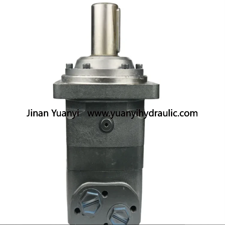 Sauer OMV315, OMV400, OMV500, OMV630, OMV800, OMV1000 Hydraulic Orbit Motor