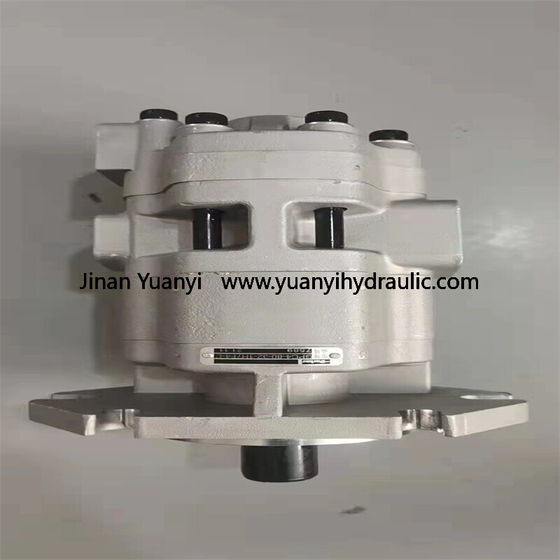  Eaton GPC4-20,GPC4-25,GPC4-32,GPC4-40,GPC4-50,GPC4-63,GPC4-80 Gear Hydraulic Pump