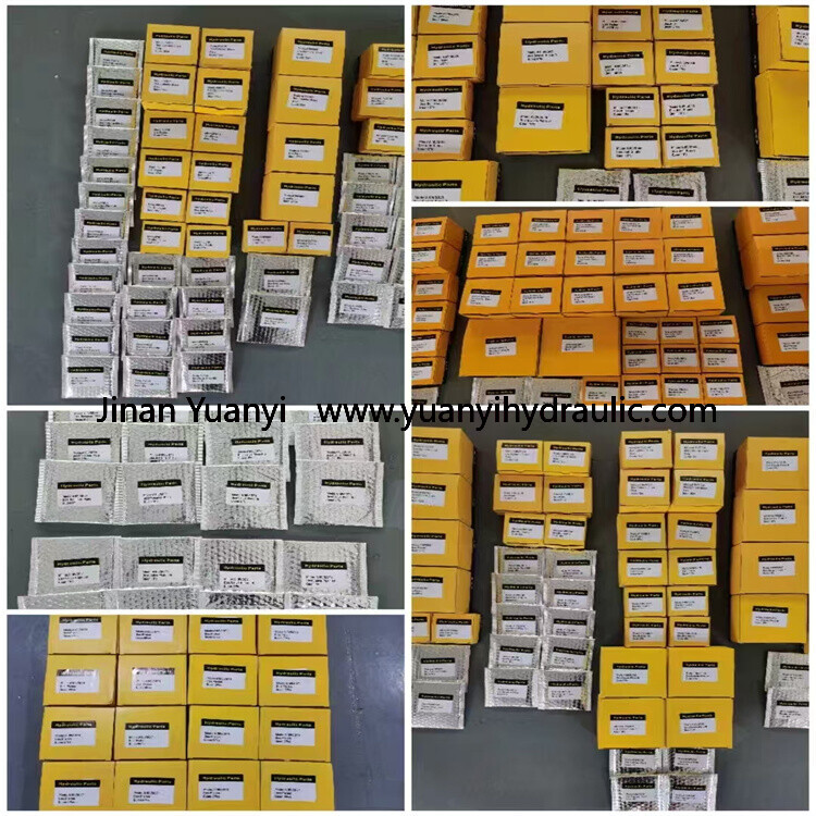 A6vm28 A6vm55 A6vm80 A6vm107 A6vm115 A6vm125 A6vm140 A6vm160 A6vm200 A6vm250 A6vm355 A6vm500 Hydraulic Spare Part
