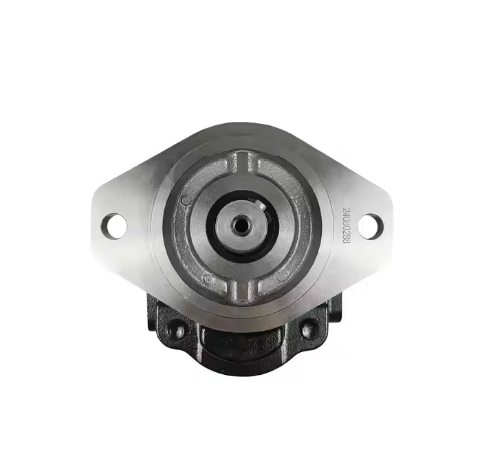 Casappa FP30.90D0-33S5-LGG/GG-N(VGR01) High Pressure Gear Hydraulic Pump