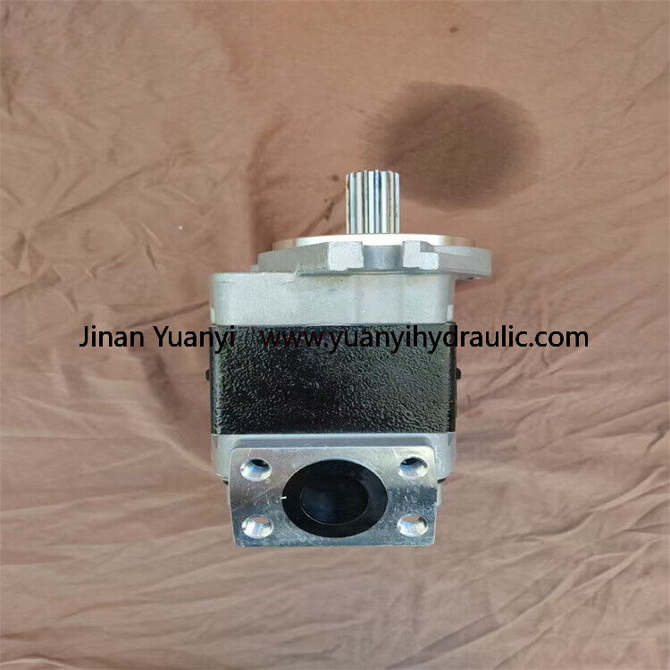 gear pump 4.jpg
