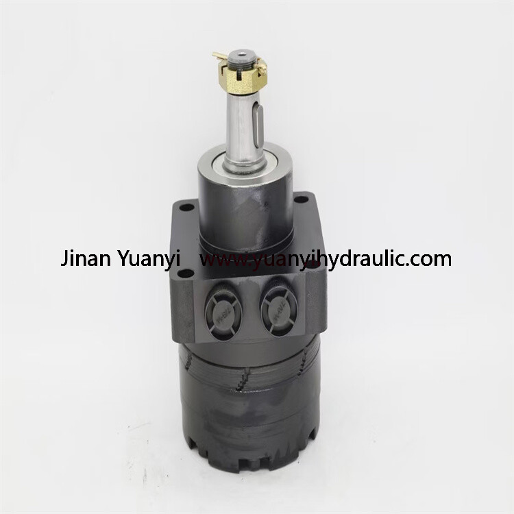 BMER125 BMER160 BMER200 BMER230 BMER250 300 350 375 475 540 BMER-2-160-WD Orbital Hydraulic Motor