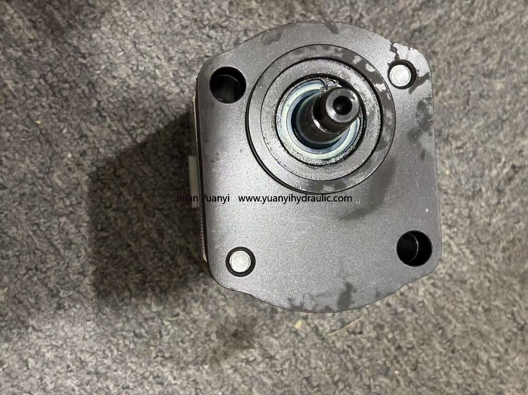 Rexroth 0510515323 High Pressure Hydraulic Gear Pump For Engine