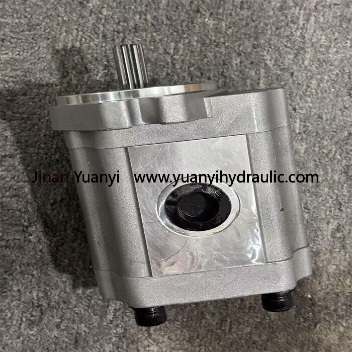 111.20.222.00 SNP2NN/017RN01BAP1C7C3 111.20.286.00 SNP2NN/019RN01BAP1F5F4 Gear Hydraulic Pump