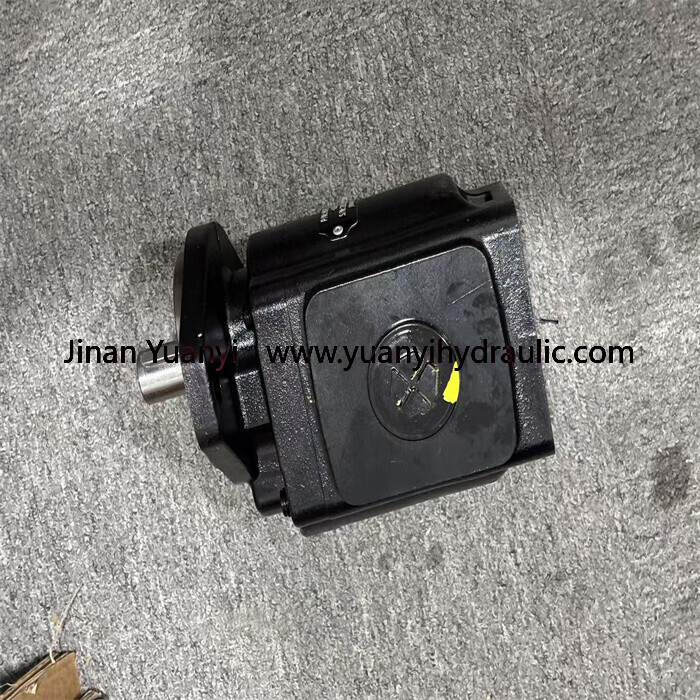 CAS-APPA HDP35.90D0-33S5-LGG High Pressure Hydraulic Gear Pump,HDP35.90D0 Series Hydraulic Pump