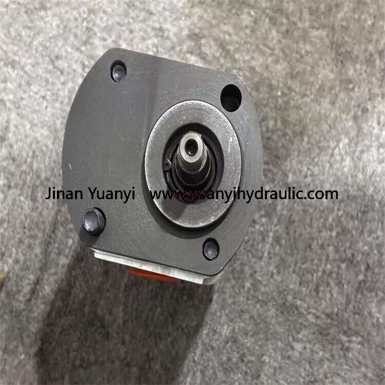 5050661887 Hydraulic Gear Pump,5050661887 Oil Hydraulic Pump