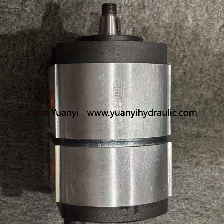 5090661571 High Pressure Hydraulic Gear Pump,5090661571 Oil Hydraulic Pump