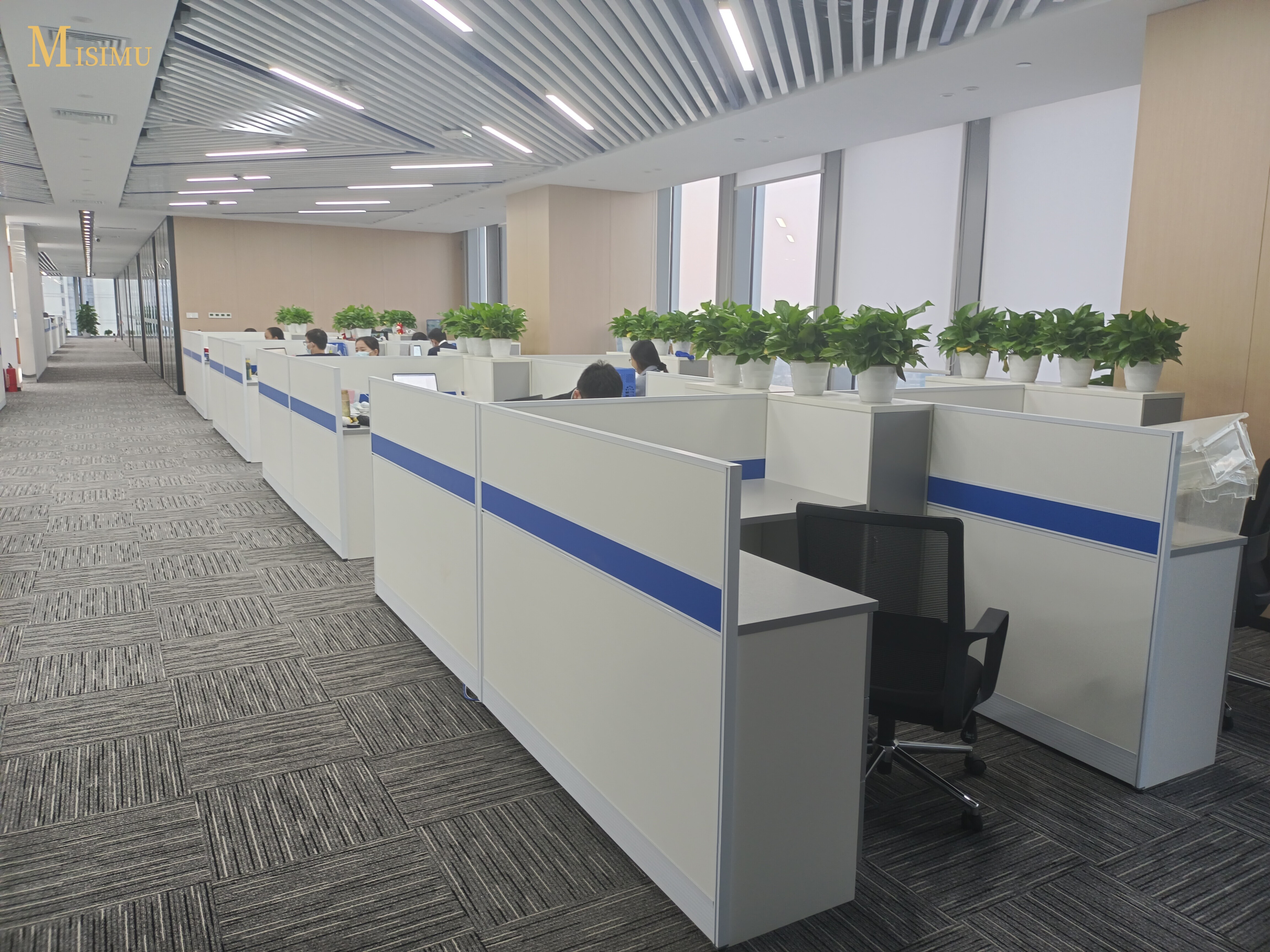 Government and state-owned enterprise cases