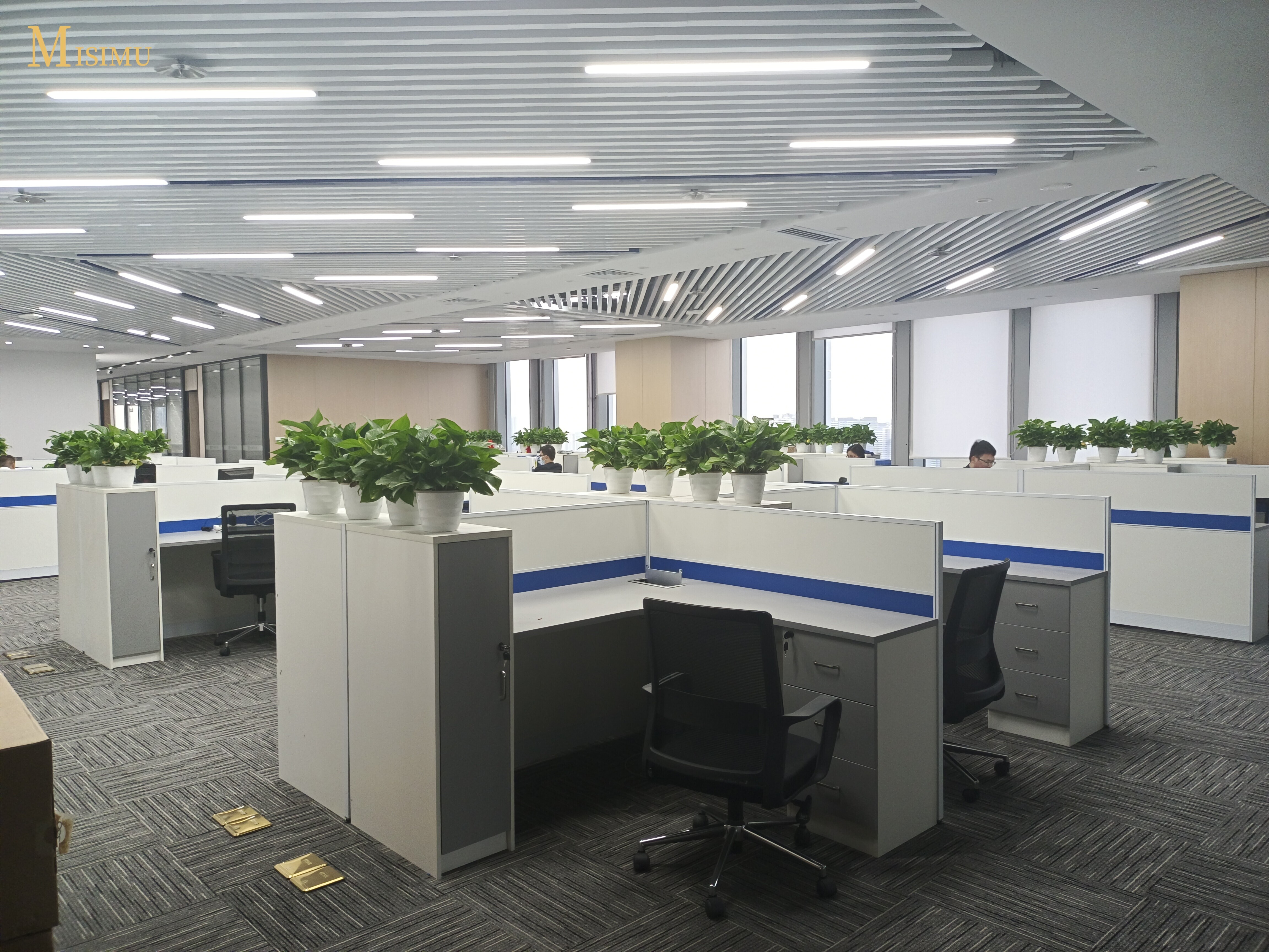 Government and state-owned enterprise cases