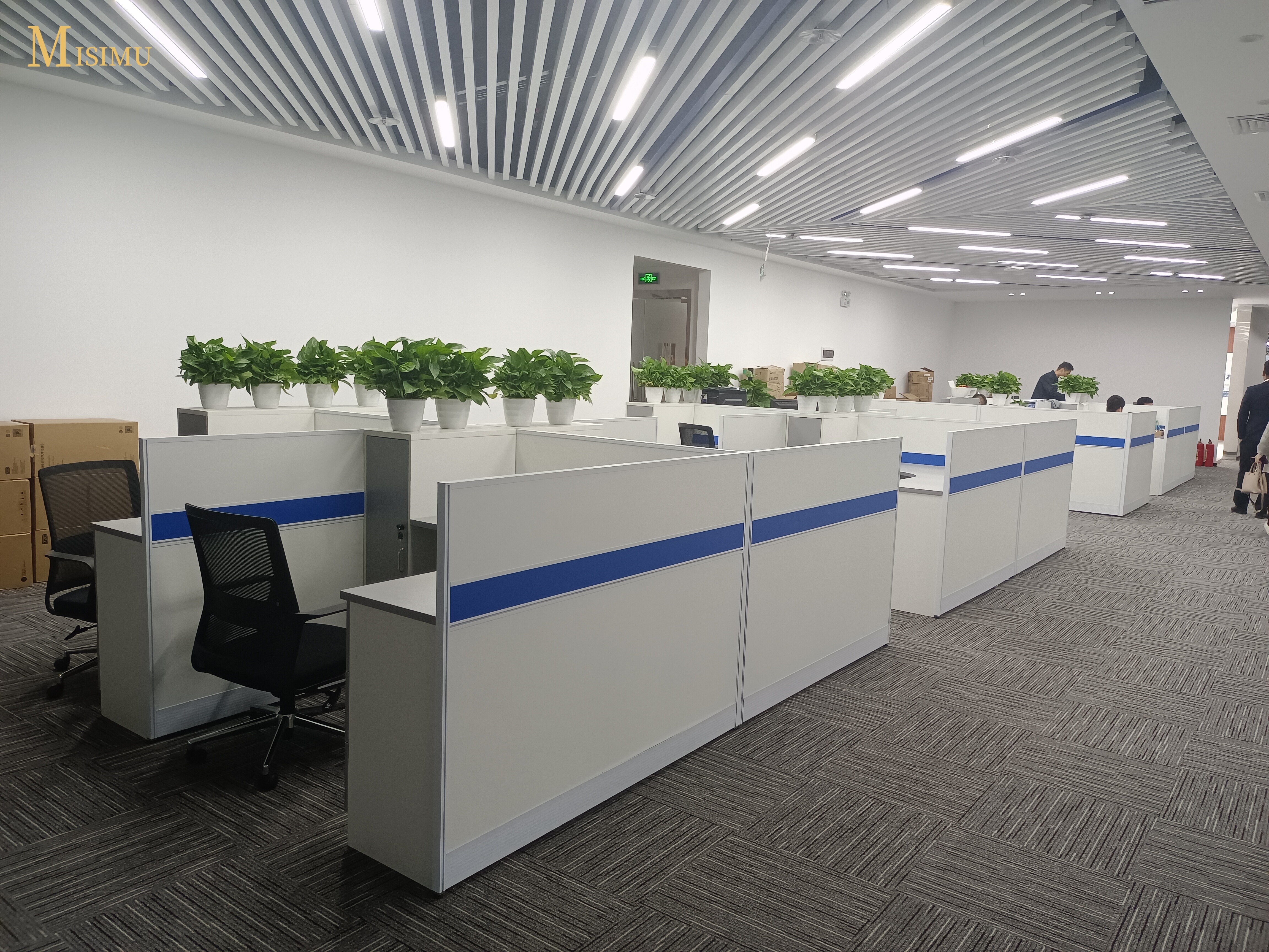 Government and state-owned enterprise cases