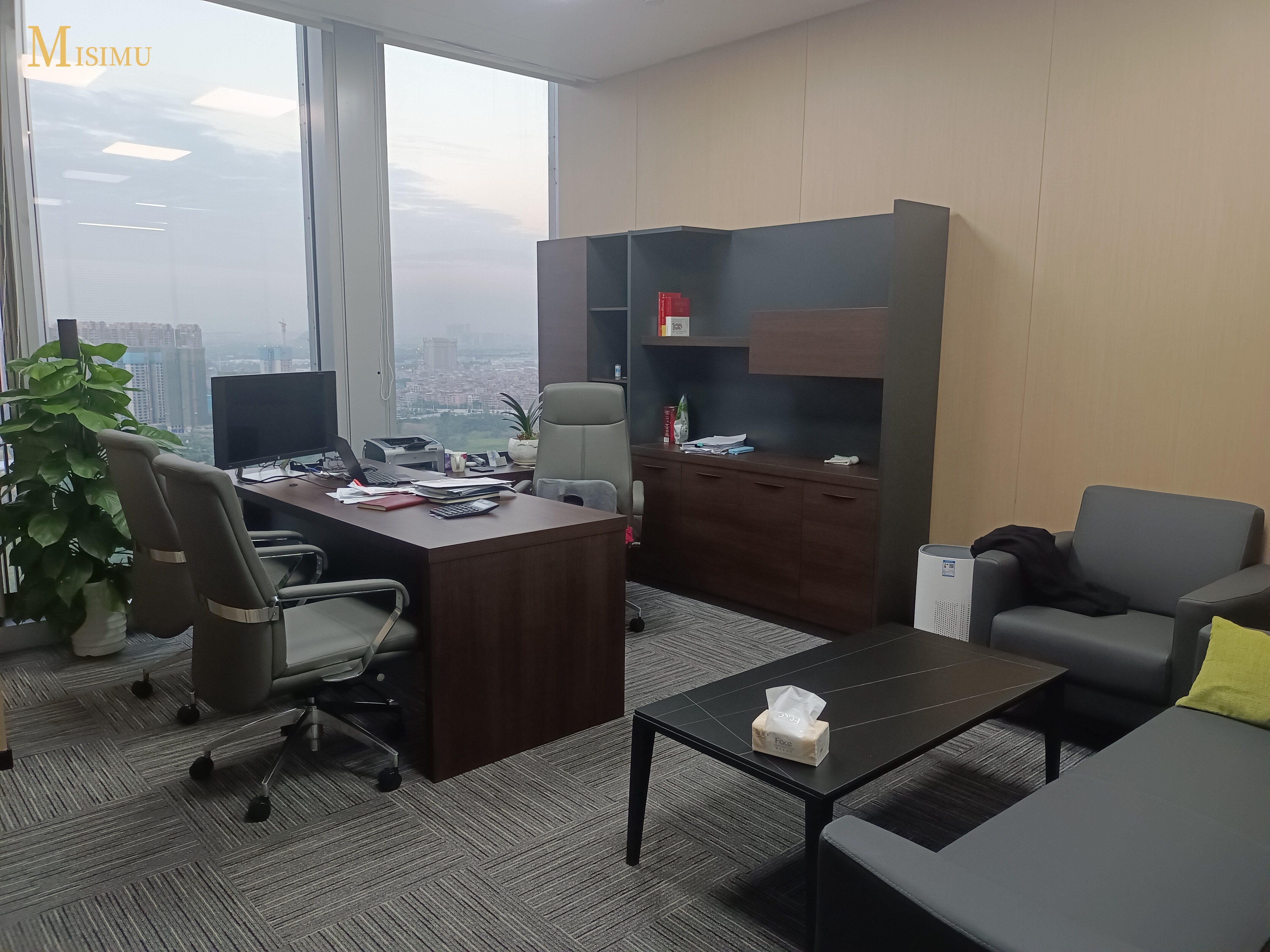 Government and state-owned enterprise cases