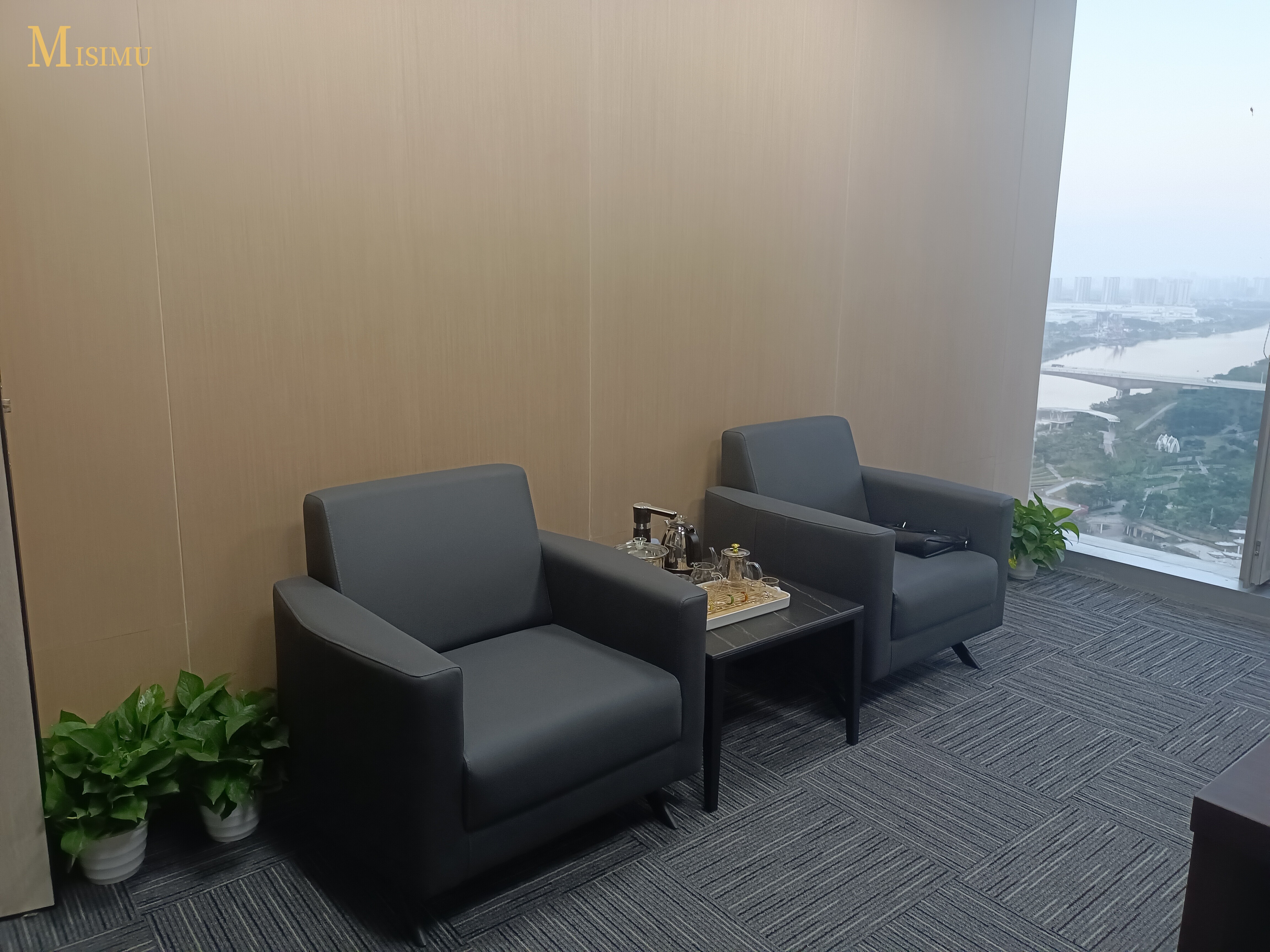 Government and state-owned enterprise cases