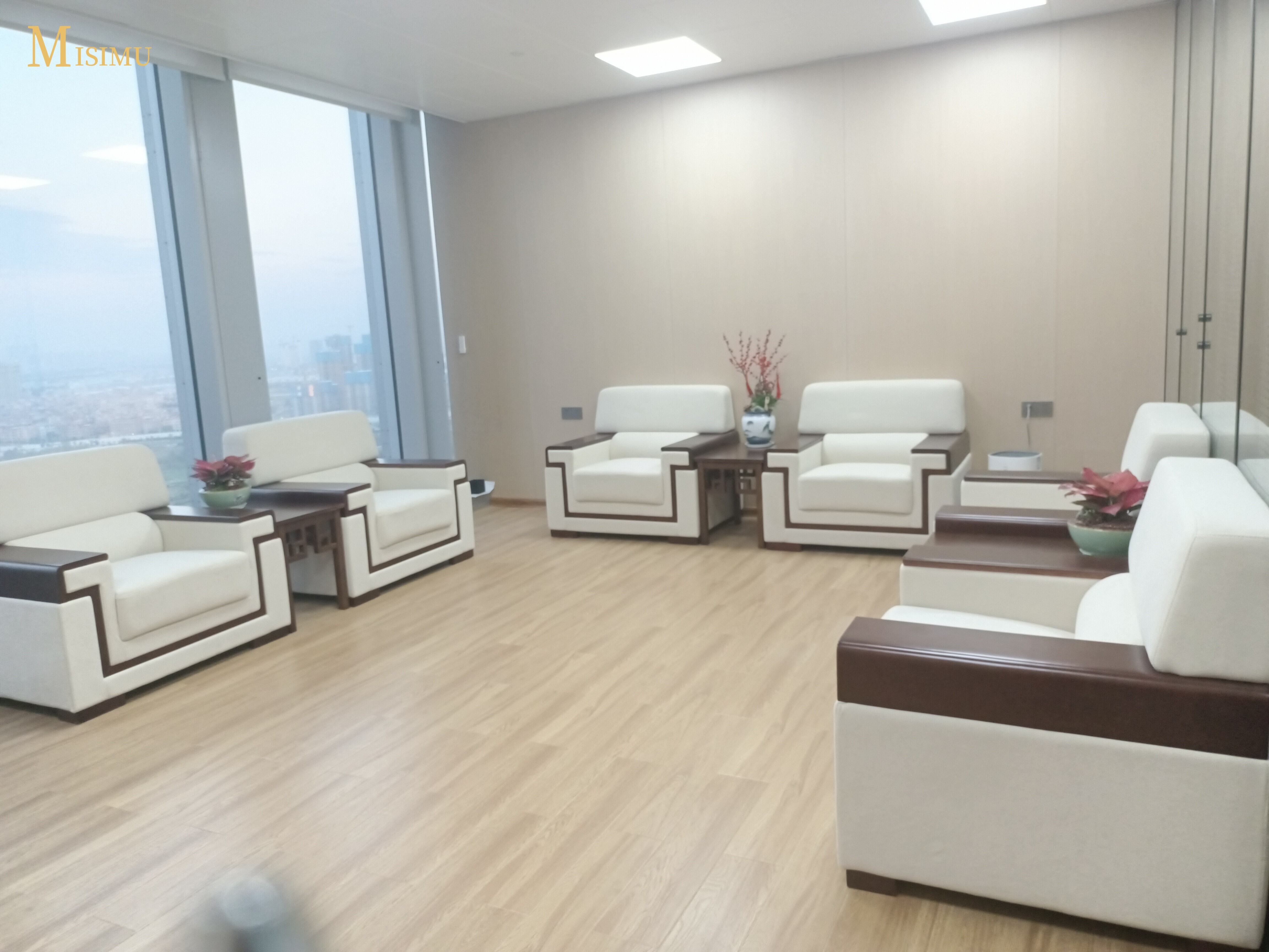 Government and state-owned enterprise cases