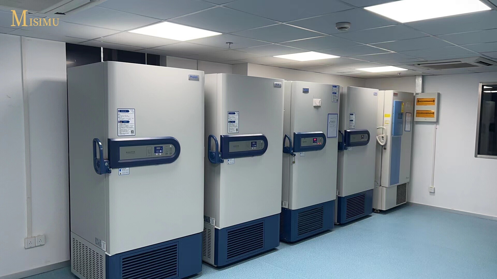 Guangzhou Hongren Biomedical Technology Co., Ltd