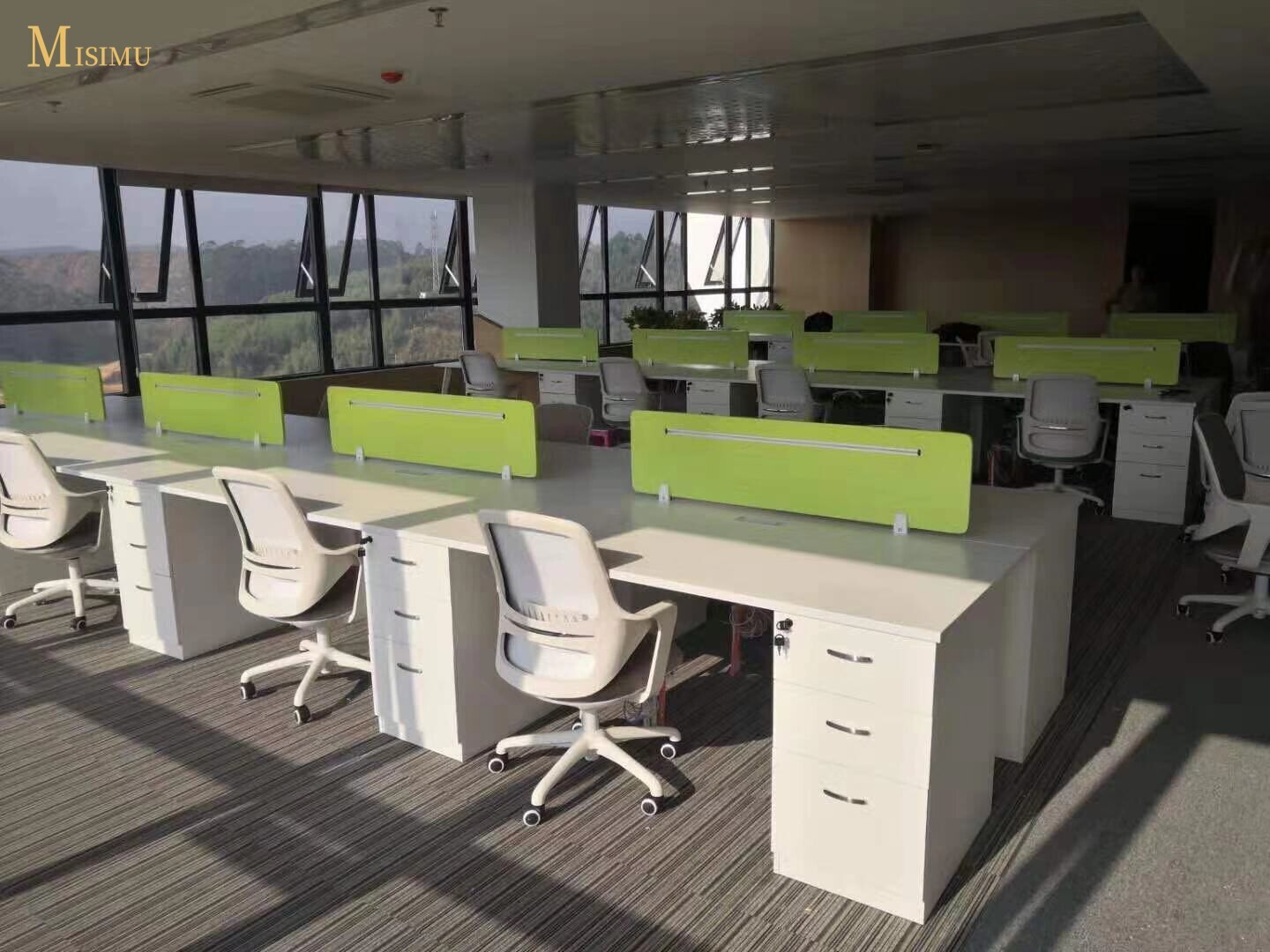 Guangxi Dingshunda Industrial Co., Ltd