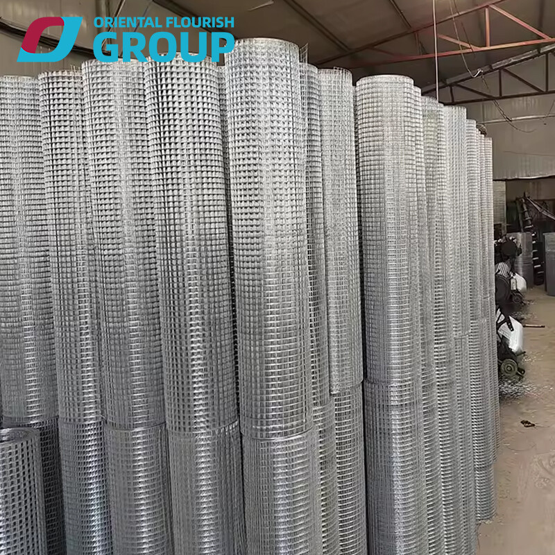 Galvanized Wire Mesh