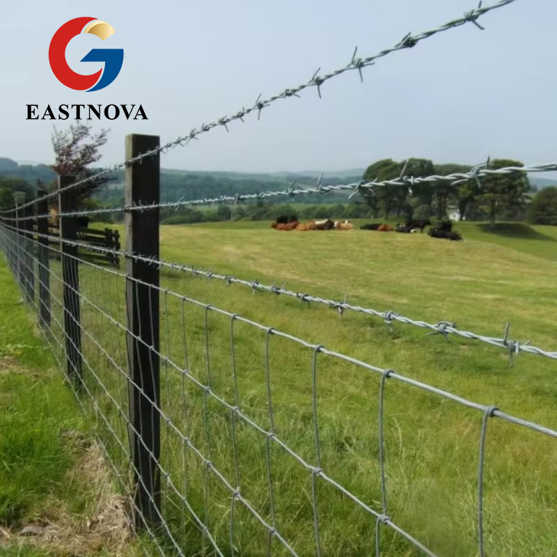 Barbed Wire