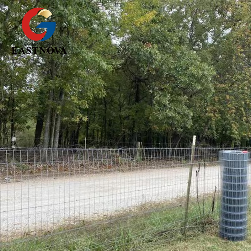 Welded Wire Mesh