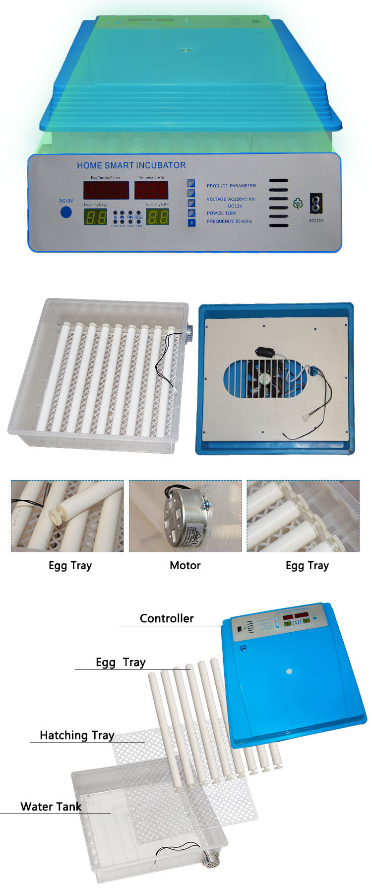 56-224eggs incubator (2).jpg