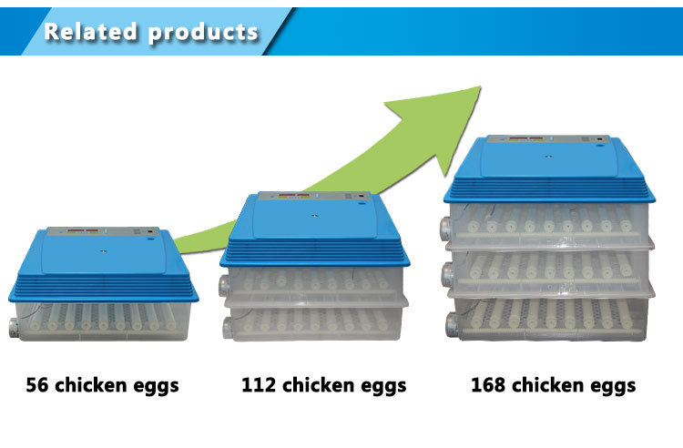 56-224eggs incubator (5).jpg