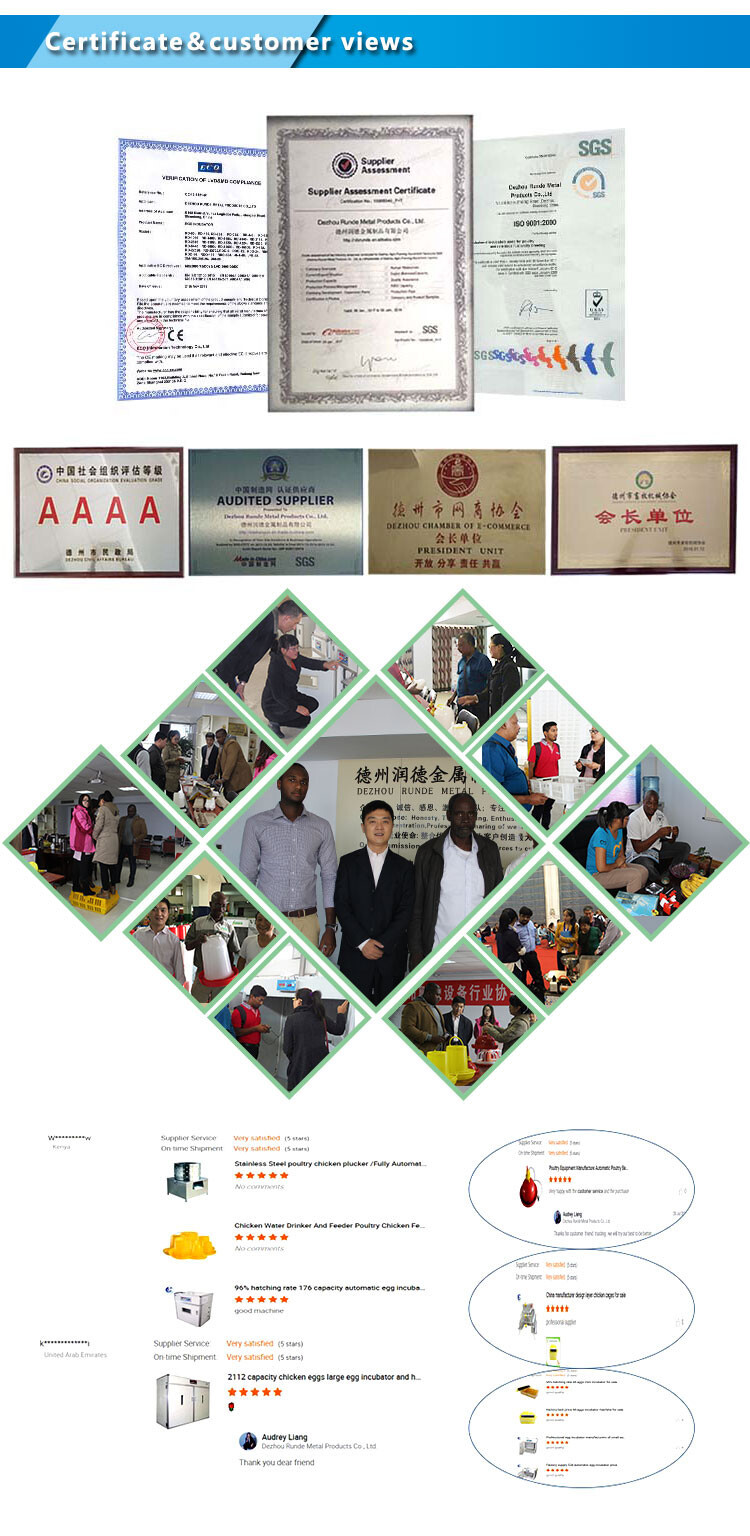 56-224eggs incubator (6).jpg